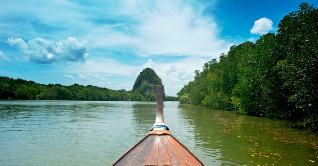 Brown Wooden canoe near trees