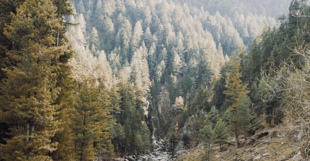 Scenic Landscape with a River