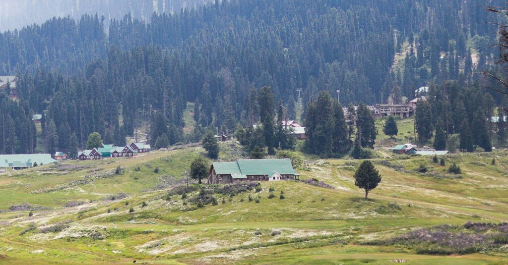 Countryside Against Woods Background