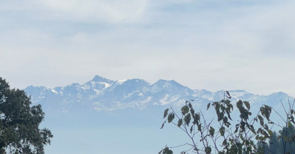 Rocky Mountains and Conifer Forest in Mist