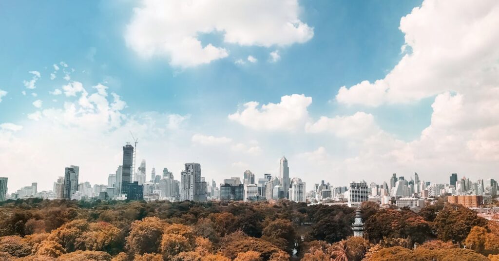 Brown Trees Under White and Blue Cloudy Sky