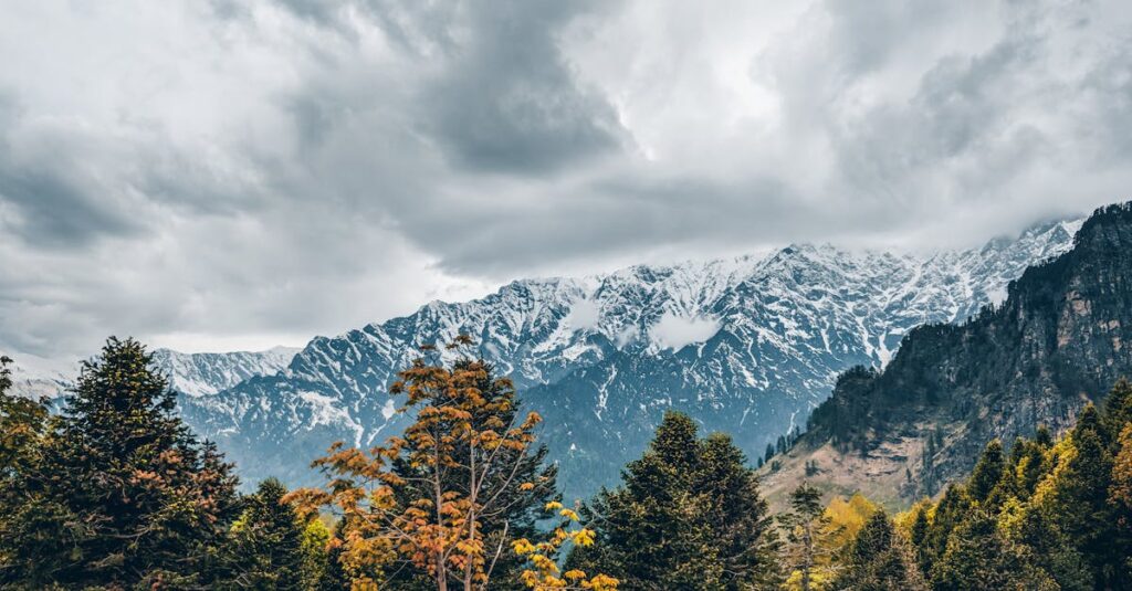 Green Trees Near Mountains