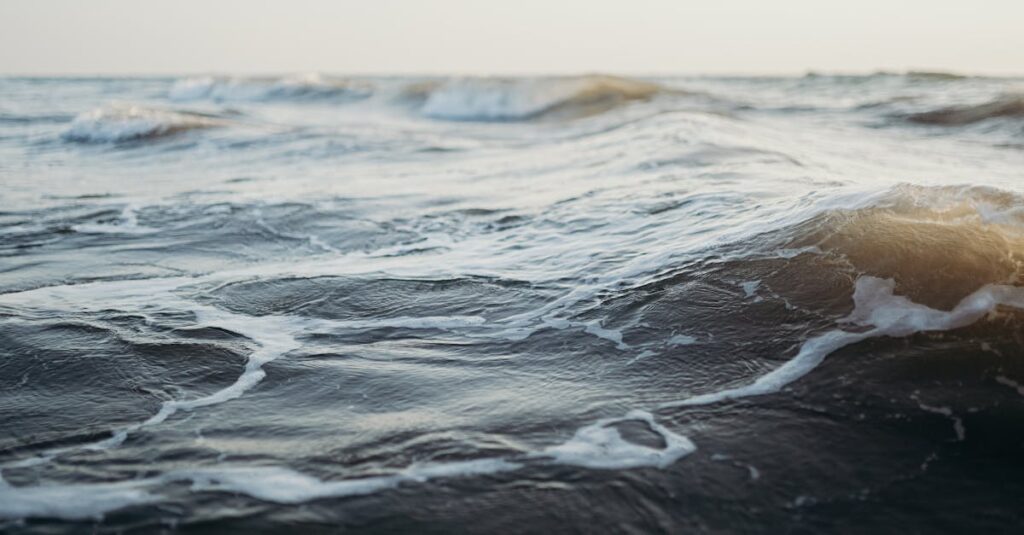 Water Waves on Shore