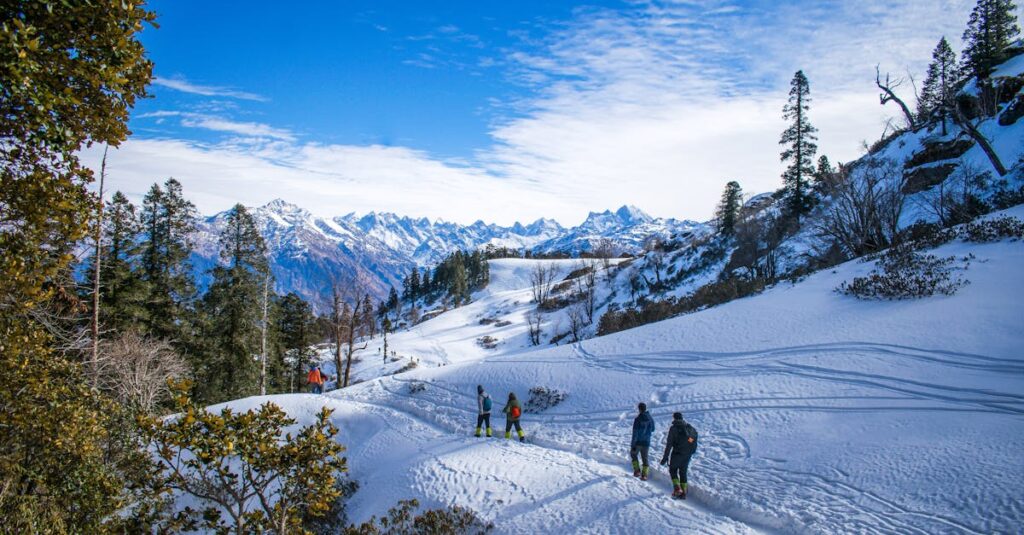 People Walking on Snow Covered Ground Near Green Trees Under Blue Sky